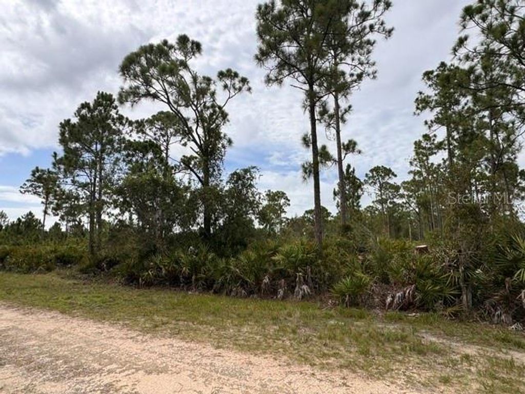 27430 CHRYSALIS DRIVE, Punta Gorda, FL 33955