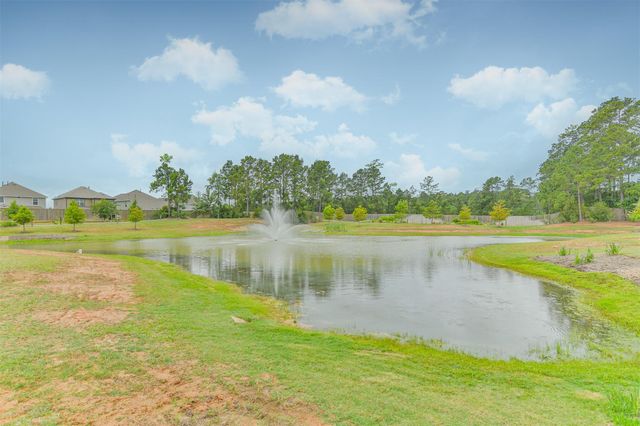 2424 Shellcracker Drive, Conroe, TX 77384
