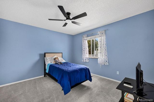 7110 Battle Mountain Road, Colorado Springs, CO 80922