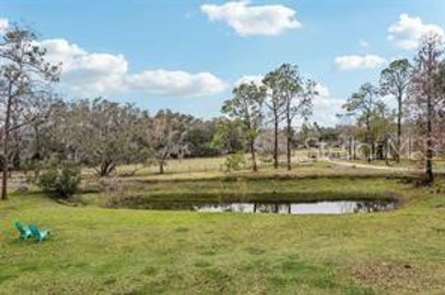 3009 JIM JOHNSON ROAD, Plant City, FL 33566