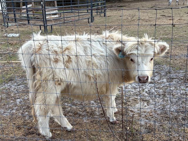 3009 JIM JOHNSON ROAD, Plant City, FL 33566