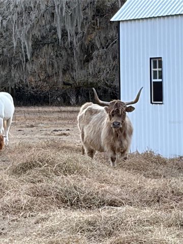 3009 JIM JOHNSON ROAD, Plant City, FL 33566