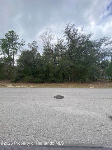 13 Lone Pine Street, Homosassa, FL 34446