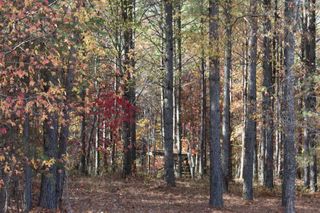 465 Compass Drive, Jasper, TN 37347