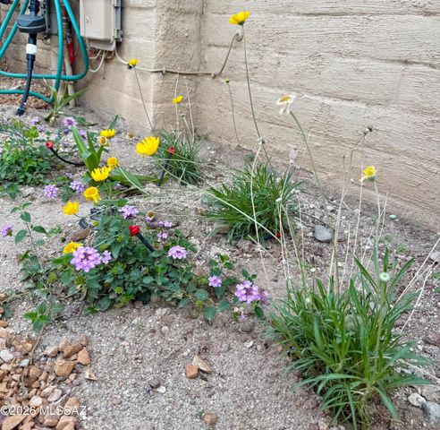 2914 E Sierra Vista Road, Tucson, AZ 85716