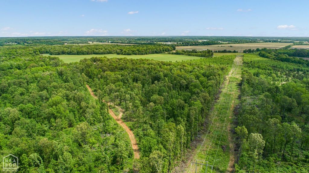 80 CR 114 acres, Jonesboro, AR 72404