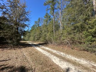 Lot 13 Coon Bottom Estates, Ponce De Leon, FL 32455