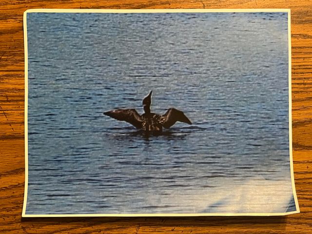 9586 E Lure Road, Newfield Twp, MI 49421