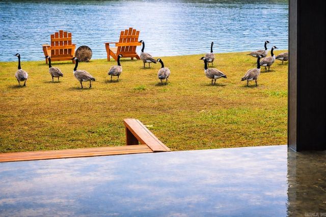 170 Eagles Lane, Bismarck, AR 71929