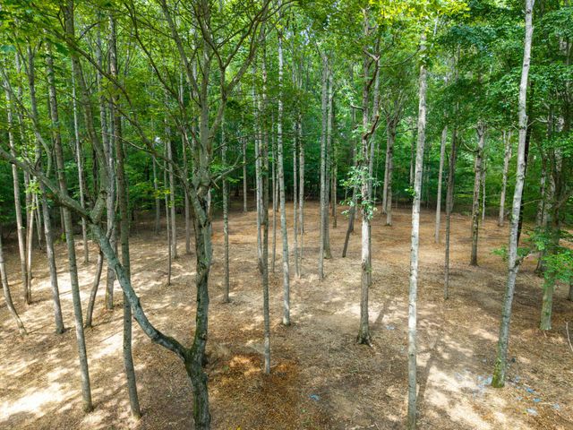 552 Jack Thomas Dr, Manchester, TN 37355