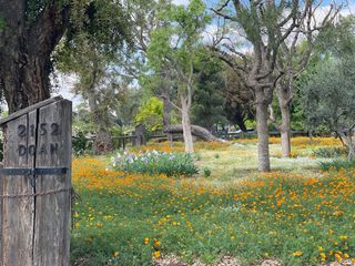 2152 orange, Corcoran, CA 93212