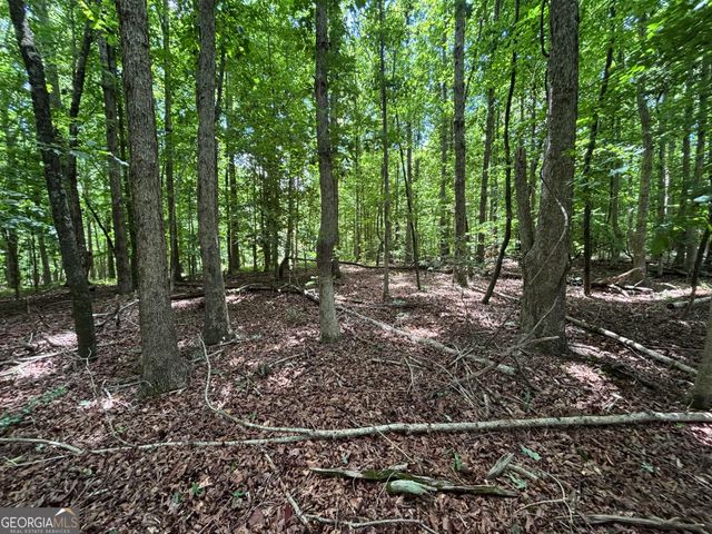 0 Crest View Drive, Cleveland, GA 30528
