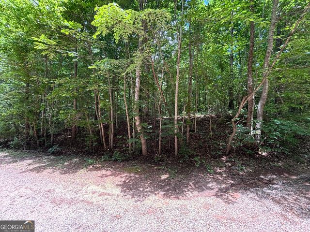 0 Crest View Drive, Cleveland, GA 30528