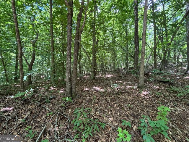 0 Crest View Drive, Cleveland, GA 30528