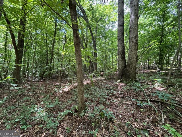 0 Crest View Drive, Cleveland, GA 30528