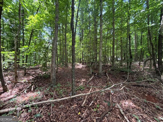 0 Crest View Drive, Cleveland, GA 30528