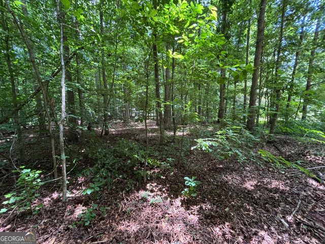 0 Crest View Drive, Cleveland, GA 30528