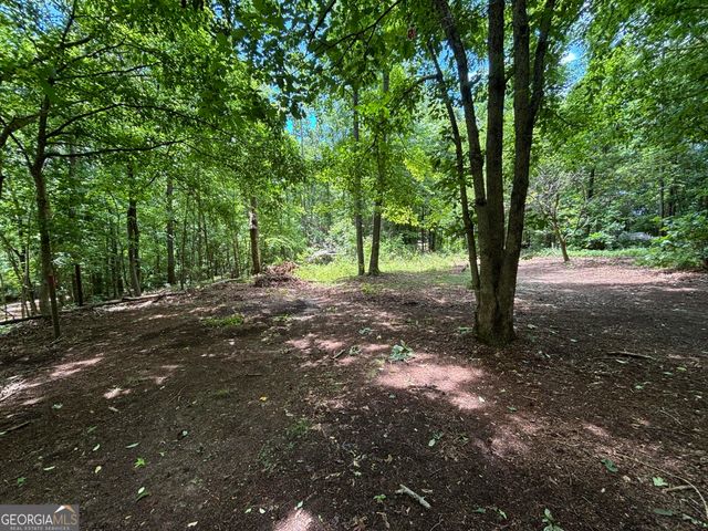 0 Crest View Drive, Cleveland, GA 30528