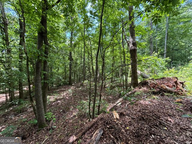 0 Crest View Drive, Cleveland, GA 30528