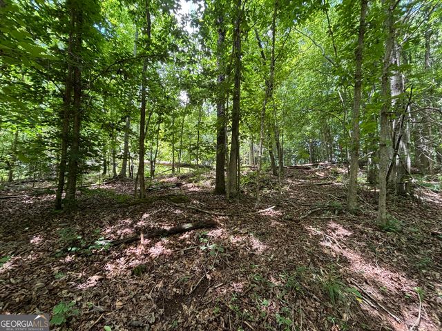0 Crest View Drive, Cleveland, GA 30528