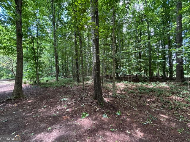 0 Crest View Drive, Cleveland, GA 30528