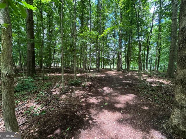 0 Crest View Drive, Cleveland, GA 30528