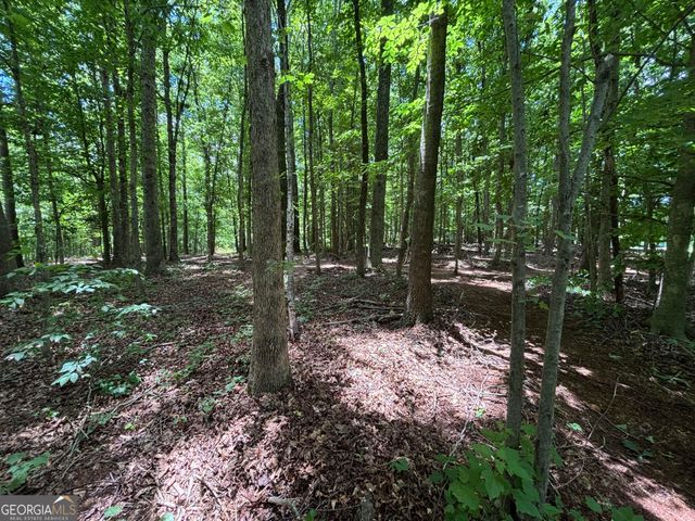 0 Crest View Drive, Cleveland, GA 30528
