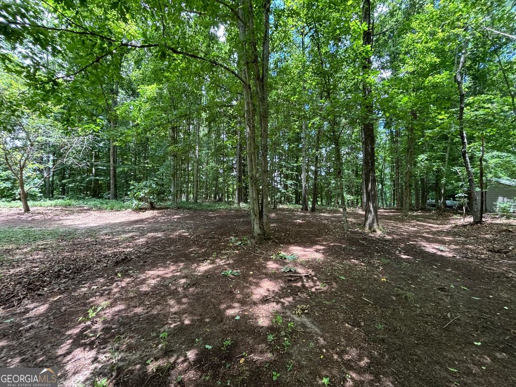0 Crest View Drive, Cleveland, GA 30528