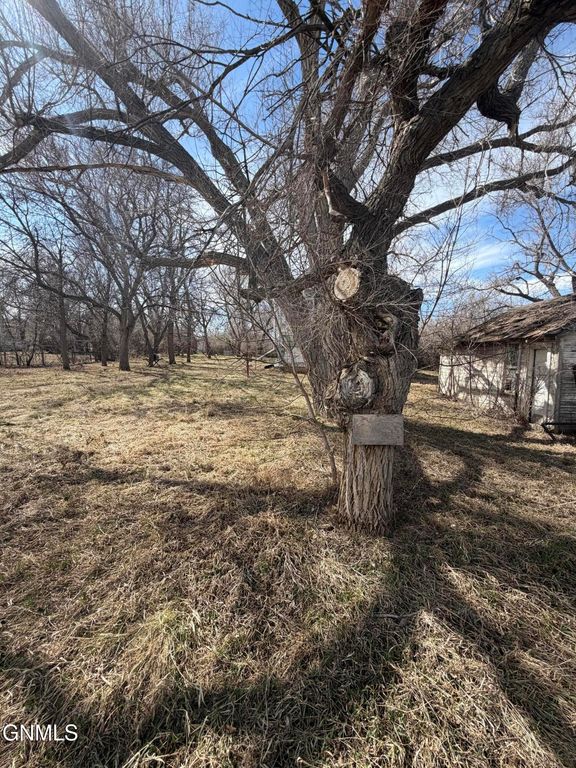 305 Washington, Noonan, ND 58765 photo 19