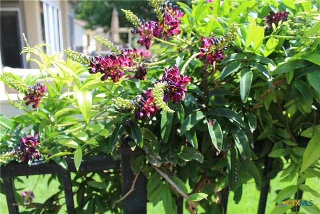 503 Dawson Trail, Georgetown, TX 78633