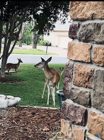 503 Dawson Trail, Georgetown, TX 78633