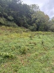 0 Gipson Hollow Road, Gainesboro, TN 38562