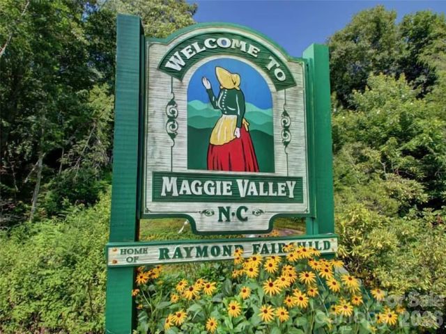 505 Middle Top Loop, Maggie Valley, NC 28751