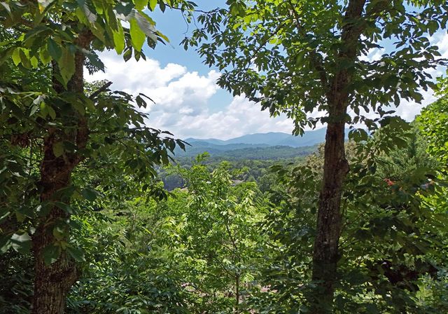 714 Mountain View Road, Hiawassee, GA 30546