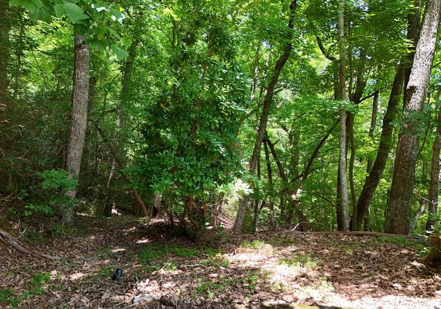 714 Mountain View Road, Hiawassee, GA 30546