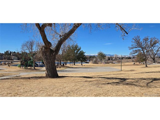 6463 W 85th Ave, Arvada, CO 80003