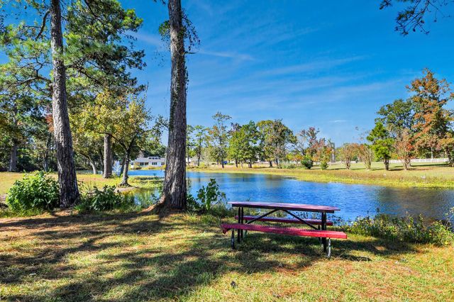 164 Goldenrod, Livingston, TX 77351