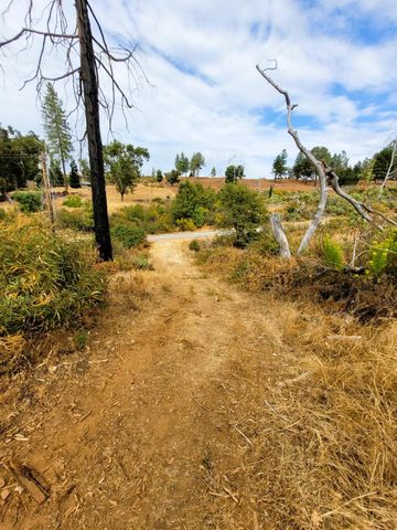 9985 Wendell Rd, Mountain Ranch, CA 95246