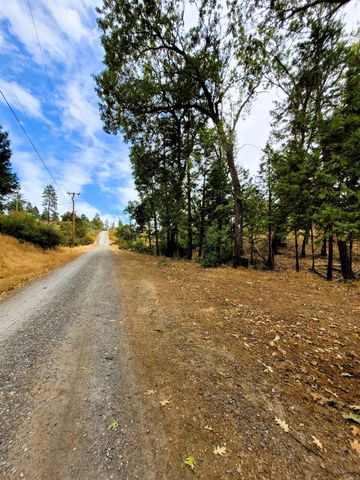 9985 Wendell Rd, Mountain Ranch, CA 95246