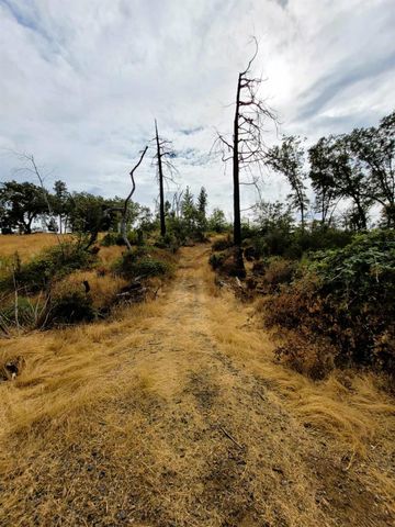 9985 Wendell Rd, Mountain Ranch, CA 95246