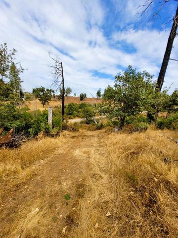 9985 Wendell Rd, Mountain Ranch, CA 95246