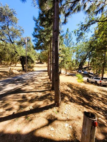 9985 Wendell Rd, Mountain Ranch, CA 95246
