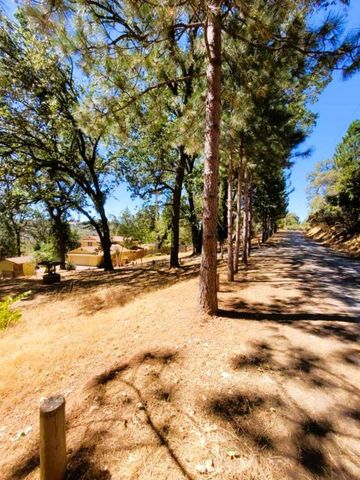 9985 Wendell Rd, Mountain Ranch, CA 95246