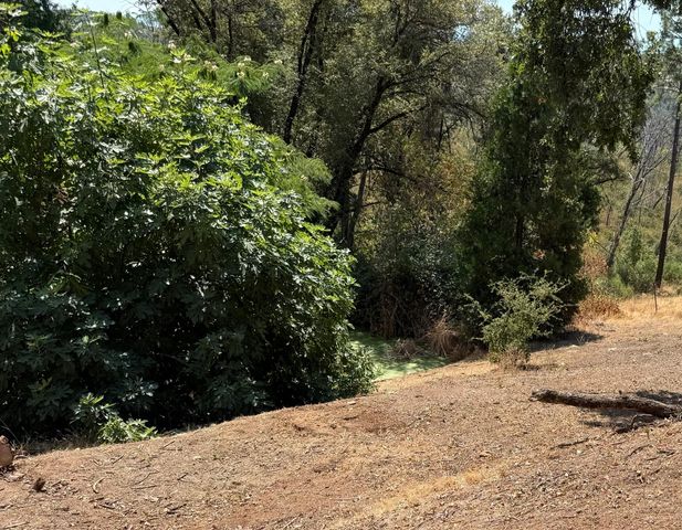 9985 Wendell Rd, Mountain Ranch, CA 95246