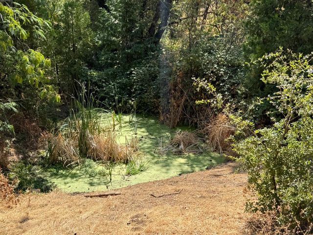 9985 Wendell Rd, Mountain Ranch, CA 95246