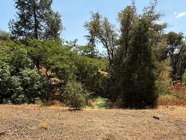 9985 Wendell Rd, Mountain Ranch, CA 95246