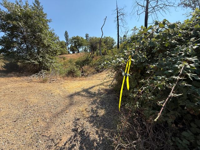 9985 Wendell Rd, Mountain Ranch, CA 95246