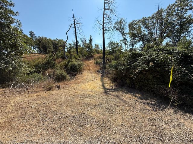 9985 Wendell Rd, Mountain Ranch, CA 95246