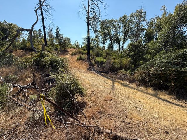 9985 Wendell Rd, Mountain Ranch, CA 95246