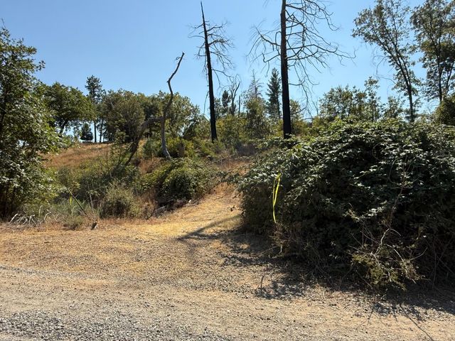 9985 Wendell Rd, Mountain Ranch, CA 95246